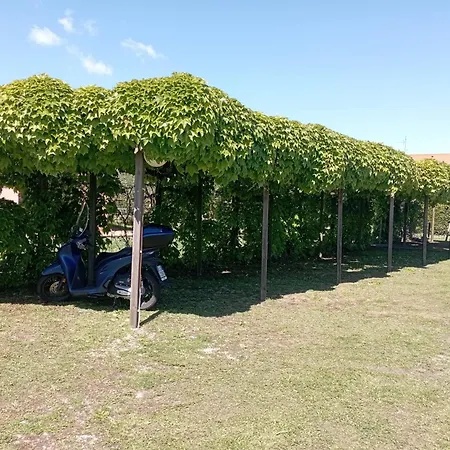 Podere Casalpiano Venturina Baratti Populonia Toscana Apartment