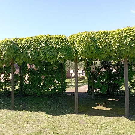Daire Podere Casalpiano Campiglia Marittima Baratti Populonia Bella Tuscany *